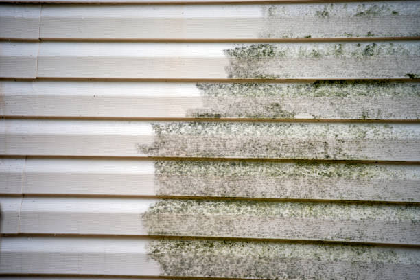 Affordable Siding Repair and Maintenance Services in Marshallton, PA